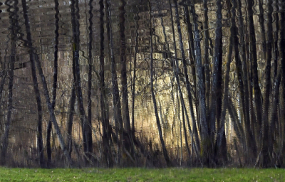 <i class='fa fa-user'></i>&nbsp;liesbeth van vliet&nbsp;|  Reflectie bomen in een meertje&nbsp; <i class='fa fa-eye'>&nbsp;73</i> &nbsp;<i class='fa fa-thumbs-up'>&nbsp;2</i> &nbsp; <i class='fa fa-comment-o'>&nbsp;8</i>