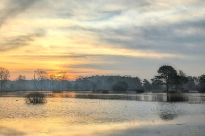 <i class='fa fa-user'></i>&nbsp;boerke&nbsp;|  Natuurgebied Stroothuizen&nbsp; <i class='fa fa-eye'>&nbsp;88</i> &nbsp;<i class='fa fa-thumbs-up'>&nbsp;3</i> &nbsp; <i class='fa fa-comment-o'>&nbsp;6</i>