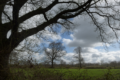 <i class='fa fa-user'></i>&nbsp;Hendrik van Kampen&nbsp;|  It Heechs�n, Borst&nbsp; <i class='fa fa-eye'>&nbsp;70</i> &nbsp;<i class='fa fa-thumbs-up'>&nbsp;2</i> &nbsp; <i class='fa fa-comment-o'>&nbsp;4</i>