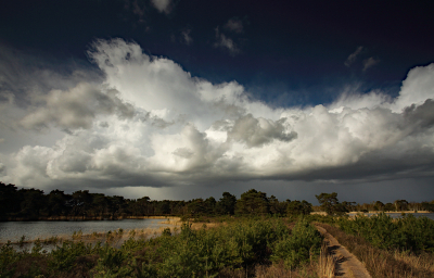 <i class='fa fa-user'></i>&nbsp;Pieter  LJ&nbsp;|  Zware bui in ontwikkeling&nbsp; <i class='fa fa-eye'>&nbsp;103</i> &nbsp;<i class='fa fa-thumbs-up'>&nbsp;2</i> &nbsp; <i class='fa fa-comment-o'>&nbsp;11</i>