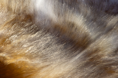 <i class='fa fa-user'></i>&nbsp;Truus Aletta Maan&nbsp;|  Water&nbsp; <i class='fa fa-eye'>&nbsp;110</i> &nbsp;<i class='fa fa-thumbs-up'>&nbsp;11</i> &nbsp; <i class='fa fa-comment-o'>&nbsp;11</i>