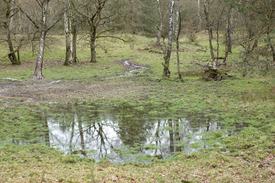 <i class='fa fa-user'></i>&nbsp;nelappelmelk&nbsp;|  Lentegroen&nbsp; <i class='fa fa-eye'>&nbsp;90</i> &nbsp; <i class='fa fa-comment-o'>&nbsp;8</i>