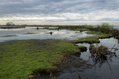 <i class='fa fa-user'></i>&nbsp;Hendrik van Kampen&nbsp;|  Boezemland, S�ltpoel&nbsp; <i class='fa fa-eye'>&nbsp;66</i> &nbsp; <i class='fa fa-comment-o'>&nbsp;5</i>