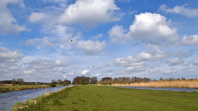 <i class='fa fa-user'></i>&nbsp;kooyammers&nbsp;|  De Nespolder&nbsp; <i class='fa fa-eye'>&nbsp;56</i> &nbsp;<i class='fa fa-thumbs-up'>&nbsp;1</i> &nbsp; <i class='fa fa-comment-o'>&nbsp;8</i>