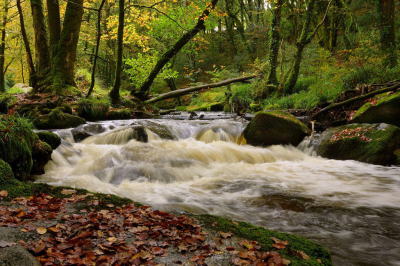 Nature picture: 1. Stoomversnelling