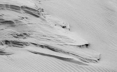 <i class='fa fa-user'></i>&nbsp;Eef Kieft&nbsp;|  Vergankelijke schoonheid&nbsp; <i class='fa fa-eye'>&nbsp;65</i> &nbsp; <i class='fa fa-comment-o'>&nbsp;1</i>