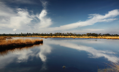 <i class='fa fa-user'></i>&nbsp;Pieter  LJ&nbsp;|  Sierlijke wolken&nbsp; <i class='fa fa-eye'>&nbsp;93</i> &nbsp;<i class='fa fa-thumbs-up'>&nbsp;5</i> &nbsp; <i class='fa fa-comment-o'>&nbsp;6</i>