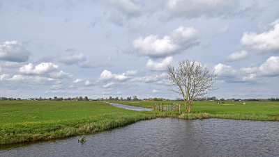 <i class='fa fa-user'></i>&nbsp;kooyammers&nbsp;|  Gruttoland&nbsp; <i class='fa fa-eye'>&nbsp;68</i> &nbsp; <i class='fa fa-comment-o'>&nbsp;3</i>