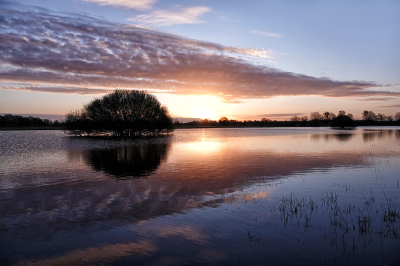 <i class='fa fa-user'></i>&nbsp;nelappelmelk&nbsp;|  Opkomende zon&nbsp; <i class='fa fa-eye'>&nbsp;91</i> &nbsp;<i class='fa fa-thumbs-up'>&nbsp;7</i> &nbsp; <i class='fa fa-comment-o'>&nbsp;7</i>