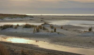 <i class='fa fa-user'></i> Nel R | Avond op het strand  <i class='fa fa-eye'> 86</i>  <i class='fa fa-thumbs-up'> 1</i>   <i class='fa fa-comment-o'> 5</i>