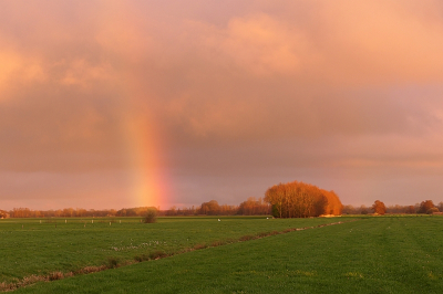 <i class='fa fa-user'></i>&nbsp;frbeuming&nbsp;|  Regenboog&nbsp; <i class='fa fa-eye'>&nbsp;53</i> &nbsp; <i class='fa fa-comment-o'>&nbsp;2</i>