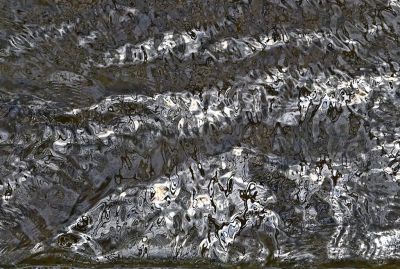 <i class='fa fa-user'></i>&nbsp;liesbeth van vliet&nbsp;|  Water&nbsp; <i class='fa fa-eye'>&nbsp;79</i> &nbsp;<i class='fa fa-thumbs-up'>&nbsp;3</i> &nbsp; <i class='fa fa-comment-o'>&nbsp;9</i>