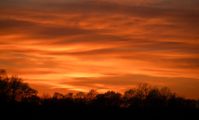 <i class='fa fa-user'></i>&nbsp;Truus Aletta Maan&nbsp;|  Zonsondergang&nbsp; <i class='fa fa-eye'>&nbsp;43</i> &nbsp;<i class='fa fa-thumbs-up'>&nbsp;4</i> &nbsp; <i class='fa fa-comment-o'>&nbsp;5</i>