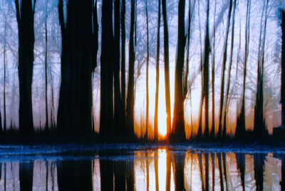 <i class='fa fa-user'></i>&nbsp;hesterb&nbsp;|  Schermen voor de zon&nbsp; <i class='fa fa-eye'>&nbsp;73</i> &nbsp;<i class='fa fa-thumbs-up'>&nbsp;2</i> &nbsp; <i class='fa fa-comment-o'>&nbsp;6</i>