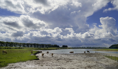 <i class='fa fa-user'></i>&nbsp;Nel R&nbsp;|  Tegenlicht&nbsp; <i class='fa fa-eye'>&nbsp;92</i> &nbsp;<i class='fa fa-thumbs-up'>&nbsp;3</i> &nbsp; <i class='fa fa-comment-o'>&nbsp;4</i>