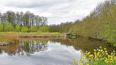 <i class='fa fa-user'></i>&nbsp;kooyammers&nbsp;|  Voorjaar langs de Loet&nbsp; <i class='fa fa-eye'>&nbsp;54</i> &nbsp; <i class='fa fa-comment-o'>&nbsp;4</i>