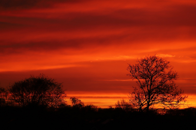 <i class='fa fa-user'></i>&nbsp;jan rienk&nbsp;|  Zonsondergang&nbsp; <i class='fa fa-eye'>&nbsp;67</i> &nbsp; <i class='fa fa-comment-o'>&nbsp;8</i>