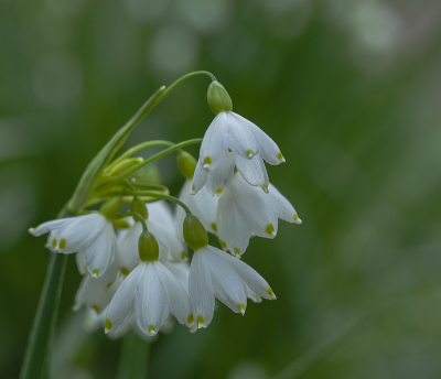 <i class='fa fa-user'></i>&nbsp;Tim Oord&nbsp;|  Zomerklokje&nbsp; <i class='fa fa-eye'>&nbsp;63</i> &nbsp; <i class='fa fa-comment-o'>&nbsp;5</i>