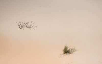 <i class='fa fa-user'></i>&nbsp;Eef Kieft&nbsp;|  Zo goed als niets&nbsp; <i class='fa fa-eye'>&nbsp;83</i> &nbsp; <i class='fa fa-comment-o'>&nbsp;6</i>