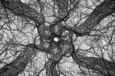 <i class='fa fa-user'></i>&nbsp;JohannesvanRoekel&nbsp;|  Robinia&nbsp; <i class='fa fa-eye'>&nbsp;163</i> &nbsp;<i class='fa fa-thumbs-up'>&nbsp;4</i> &nbsp; <i class='fa fa-comment-o'>&nbsp;7</i>