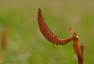 <i class='fa fa-user'></i>&nbsp;Cor&nbsp;|  Heermoes&nbsp; <i class='fa fa-eye'>&nbsp;57</i> &nbsp;<i class='fa fa-thumbs-up'>&nbsp;2</i> &nbsp; <i class='fa fa-comment-o'>&nbsp;5</i>