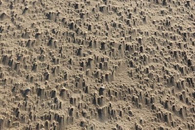 <i class='fa fa-user'></i>&nbsp;Nel R&nbsp;|  Zandpatronen&nbsp; <i class='fa fa-eye'>&nbsp;55</i> &nbsp;<i class='fa fa-thumbs-up'>&nbsp;1</i> &nbsp; <i class='fa fa-comment-o'>&nbsp;2</i>