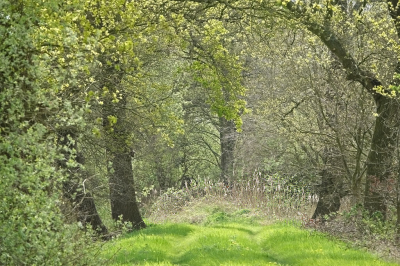 <i class='fa fa-user'></i>&nbsp;nelappelmelk&nbsp;|  Overweldigend&nbsp; <i class='fa fa-eye'>&nbsp;110</i> &nbsp;<i class='fa fa-thumbs-up'>&nbsp;1</i> &nbsp; <i class='fa fa-comment-o'>&nbsp;12</i>