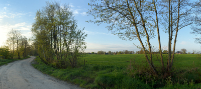 <i class='fa fa-user'></i>&nbsp;Hendrik van Kampen&nbsp;|  Achterwei&nbsp; <i class='fa fa-eye'>&nbsp;57</i> &nbsp; <i class='fa fa-comment-o'>&nbsp;4</i>