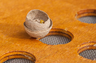 <i class='fa fa-user'></i>&nbsp;susan meijnders&nbsp;|  Wespennest&nbsp; <i class='fa fa-eye'>&nbsp;85</i> &nbsp; <i class='fa fa-comment-o'>&nbsp;10</i>