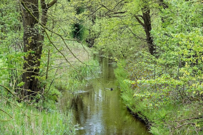 <i class='fa fa-user'></i>&nbsp;nelappelmelk&nbsp;|  Lentegroen&nbsp; <i class='fa fa-eye'>&nbsp;86</i> &nbsp; <i class='fa fa-comment-o'>&nbsp;3</i>