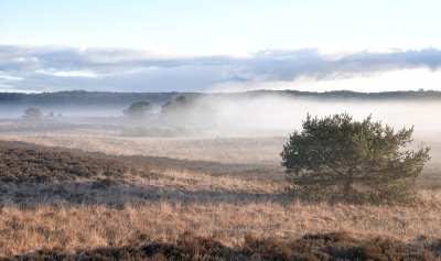 <i class='fa fa-user'></i> nelappelmelk | Mistig landschap  <i class='fa fa-eye'> 60</i>  <i class='fa fa-thumbs-up'> 1</i>   <i class='fa fa-comment-o'> 5</i>