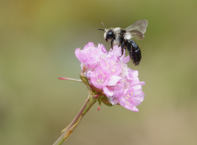 <i class='fa fa-user'></i>&nbsp;Jurgen Maassen&nbsp;|  Asbij&nbsp; <i class='fa fa-eye'>&nbsp;55</i> &nbsp;<i class='fa fa-thumbs-up'>&nbsp;1</i> &nbsp; <i class='fa fa-comment-o'>&nbsp;6</i>