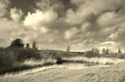 <i class='fa fa-user'></i>&nbsp;B.M.Schouten-Ruis&nbsp;|  Hitland&nbsp; <i class='fa fa-eye'>&nbsp;70</i> &nbsp;<i class='fa fa-thumbs-up'>&nbsp;3</i> &nbsp; <i class='fa fa-comment-o'>&nbsp;3</i>