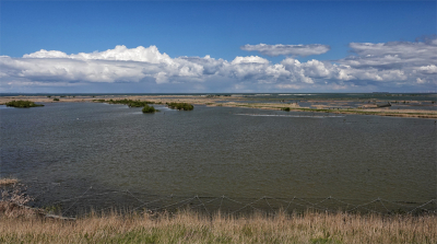 <i class='fa fa-user'></i>&nbsp;nelappelmelk&nbsp;|  Stralende dag&nbsp; <i class='fa fa-eye'>&nbsp;87</i> &nbsp; <i class='fa fa-comment-o'>&nbsp;7</i>