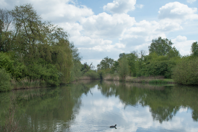 <i class='fa fa-user'></i>&nbsp;susan meijnders&nbsp;|  Lentegroen&nbsp; <i class='fa fa-eye'>&nbsp;64</i> &nbsp; <i class='fa fa-comment-o'>&nbsp;12</i>