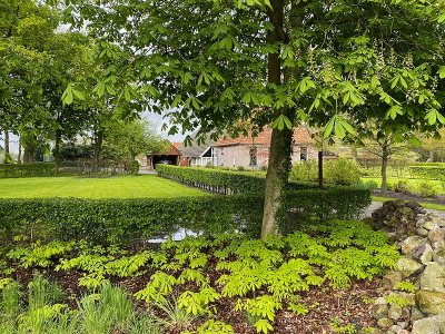 <i class='fa fa-user'></i>&nbsp;frbeuming&nbsp;|  Witte Paardenkastanje&nbsp; <i class='fa fa-eye'>&nbsp;87</i> &nbsp; <i class='fa fa-comment-o'>&nbsp;5</i>