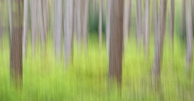 <i class='fa fa-user'></i>&nbsp;nelappelmelk&nbsp;|  Bosbessenbos&nbsp; <i class='fa fa-eye'>&nbsp;73</i> &nbsp;<i class='fa fa-thumbs-up'>&nbsp;3</i> &nbsp; <i class='fa fa-comment-o'>&nbsp;3</i>