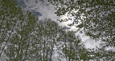 <i class='fa fa-user'></i>&nbsp;liesbeth van vliet&nbsp;|  Reflectie bomen in een meertje&nbsp; <i class='fa fa-eye'>&nbsp;55</i> &nbsp; <i class='fa fa-comment-o'>&nbsp;2</i>