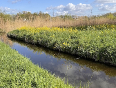 <i class='fa fa-user'></i>&nbsp;HenK5&nbsp;|  Polderlandschap&nbsp; <i class='fa fa-eye'>&nbsp;51</i> &nbsp;<i class='fa fa-thumbs-up'>&nbsp;1</i> &nbsp; <i class='fa fa-comment-o'>&nbsp;3</i>