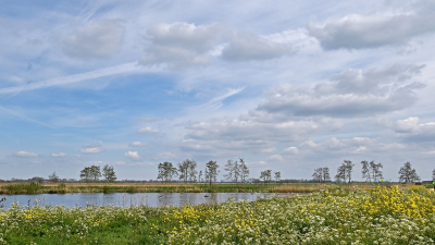 <i class='fa fa-user'></i>&nbsp;kooyammers&nbsp;|  Bloemenweelde&nbsp; <i class='fa fa-eye'>&nbsp;78</i> &nbsp;<i class='fa fa-thumbs-up'>&nbsp;5</i> &nbsp; <i class='fa fa-comment-o'>&nbsp;7</i>