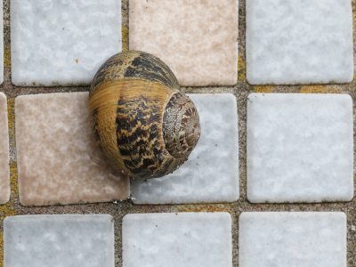 Opname omstandigheden:
Beschrijf de manier waarop de foto gemaakt is. (Minimaal 15 woorden).
Maximale lengte (karakters): 2048
Techniek (bewerkingen/exif):
Beschrijf de bewerkingen die je op de foto hebt uitgevoerd,
gebruikt diafragma/sluitertijd/iso, of het een crop is, etc. (Bereken croppercentage)