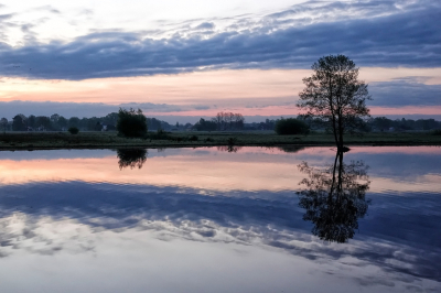 Nature picture: 1. Morgenlicht