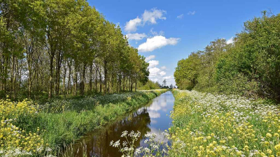 <i class='fa fa-user'></i>&nbsp;kooyammers&nbsp;|  Uitbundig&nbsp; <i class='fa fa-eye'>&nbsp;70</i> &nbsp;<i class='fa fa-thumbs-up'>&nbsp;4</i> &nbsp; <i class='fa fa-comment-o'>&nbsp;8</i>