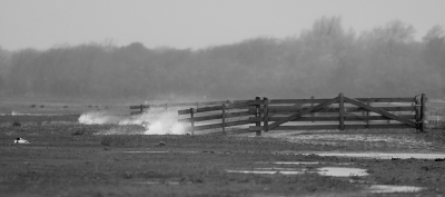 <i class='fa fa-user'></i>&nbsp;Eef Kieft&nbsp;|  Slecht weer bestaat niet&nbsp; <i class='fa fa-eye'>&nbsp;96</i> &nbsp; <i class='fa fa-comment-o'>&nbsp;2</i>