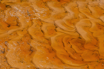 <i class='fa fa-user'></i>&nbsp;Truus Aletta Maan&nbsp;|  Beek bedding&nbsp; <i class='fa fa-eye'>&nbsp;63</i> &nbsp;<i class='fa fa-thumbs-up'>&nbsp;1</i> &nbsp; <i class='fa fa-comment-o'>&nbsp;5</i>