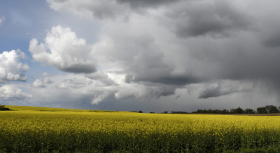 <i class='fa fa-user'></i>&nbsp;Eric Gibcus&nbsp;|  Koolzaad&nbsp; <i class='fa fa-eye'>&nbsp;80</i> &nbsp;<i class='fa fa-thumbs-up'>&nbsp;2</i> &nbsp; <i class='fa fa-comment-o'>&nbsp;7</i>