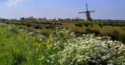 <i class='fa fa-user'></i>&nbsp;B.M.Schouten-Ruis&nbsp;|  Het Doove Gat&nbsp; <i class='fa fa-eye'>&nbsp;84</i> &nbsp; <i class='fa fa-comment-o'>&nbsp;9</i>