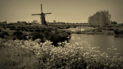 <i class='fa fa-user'></i>&nbsp;B.M.Schouten-Ruis&nbsp;|  Het Doove Gat&nbsp; <i class='fa fa-eye'>&nbsp;70</i> &nbsp;<i class='fa fa-thumbs-up'>&nbsp;1</i> &nbsp; <i class='fa fa-comment-o'>&nbsp;2</i>