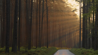 <i class='fa fa-user'></i>&nbsp;Eric Gibcus&nbsp;|  Zonneharpen&nbsp; <i class='fa fa-eye'>&nbsp;63</i> &nbsp; <i class='fa fa-comment-o'>&nbsp;3</i>