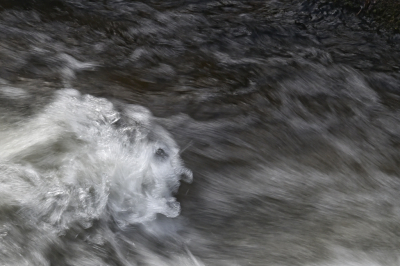 <i class='fa fa-user'></i>&nbsp;liesbeth van vliet&nbsp;|  Ik kom eraan &nbsp; <i class='fa fa-eye'>&nbsp;83</i> &nbsp;<i class='fa fa-thumbs-up'>&nbsp;6</i> &nbsp; <i class='fa fa-comment-o'>&nbsp;12</i>